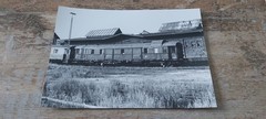 Large B/W Photo BW Cologne-Nippes Pack Car Rheingold 90 201???