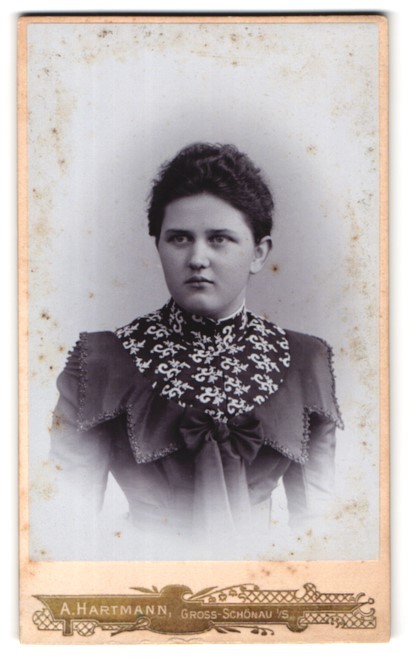 Photograph A. Hartmann, Gross-Schönau, portrait serious lady in interesting class