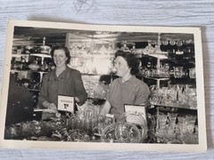 Düsseldorf 1952 Shop, Woolworth(X)