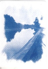 🎁 Set 13: All Handmade Photographic Cyanotype Greeting Cards Set of 12pcs 🎁