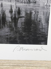 New Orleans Bourbon Street Swamp Spanish Moss Creepy Eerie Signed Art Prints Vtg