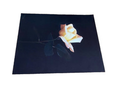 Large Yellow Flower Art Print Original Vintage 1980’s 16″X 21″ #2