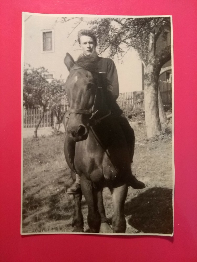 Old Photo Vintage Antique Man Horse Ross Old Photo Nice Man Horse Picture Animal