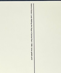 Dietmar Busse Art Photo Print Card – Lady Walking Her Dogs In Central Park, 1996