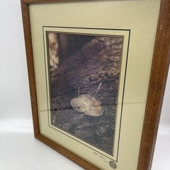 Art Gore Signed & Numbered Framed Leaf Photograph