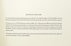 KURT MARKUS Meadow And Oak 1987 Photogravure Signed ltd 1/300