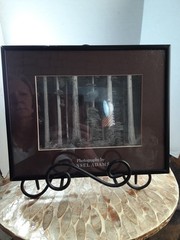 Vtg Ansel Adams Redwoods CA In Original Museum Graphics 8×10 Photo Ships Frm USA