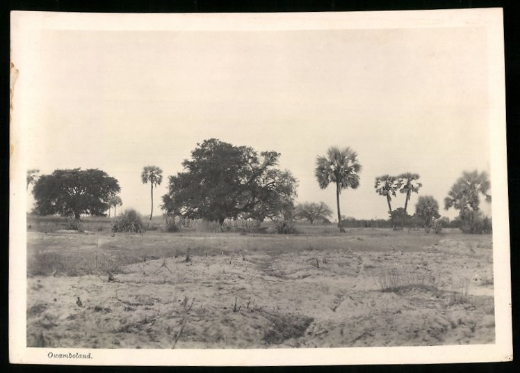 Photograph German South West Africa / Namibia, Owamboland