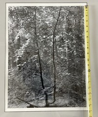 Bob Werling Signed #3 Lake Tahoe Black & White Framed Decorative Edition Print