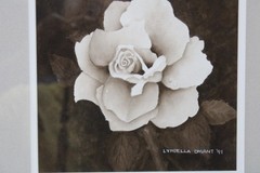 Vtg Gorgeous B&W Rose Dbl Matted Print Signed & Dated 13×14 Framed