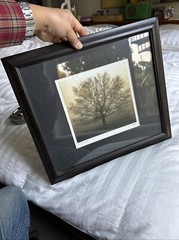 Richard Calvo «Awakening» Glass framed Photo Print 8”x8” OD 15”X7” Signed