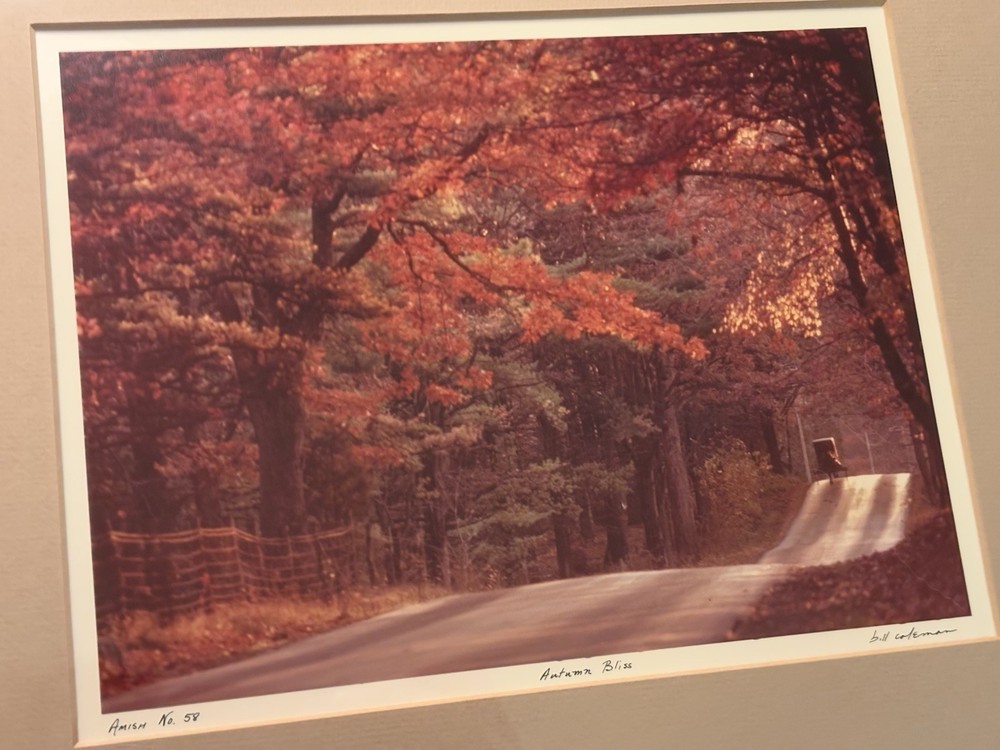 Bill Coleman Signed Amish No 58 Matted & Framed Photograph Autumn Bliss