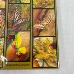 Butterflies Moths 3-D 3D Photographs Set Art Phantom Image Barry Rothstein New