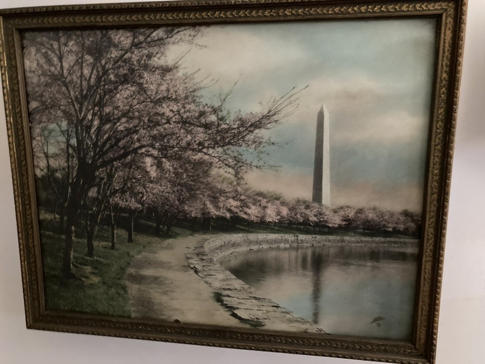Washington Monument Hand Colored Photo 11.75” x 15”