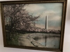 Washington Monument Hand Colored Photo 11.75” x 15”