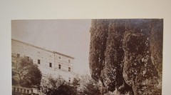 Vtg Italian Villa Photograph: 8964 Dettaglio della scala, Villa d’Este – Tivoli