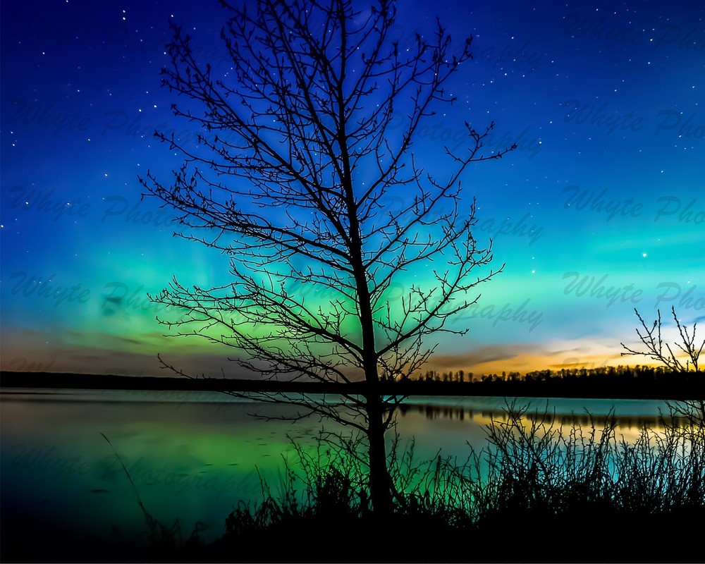 «Aurora Sunrise» Photograph Printed on Metal