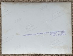 21x16cm Vintage DPA Photo on Agfa Brovira 1950s Eva Braun