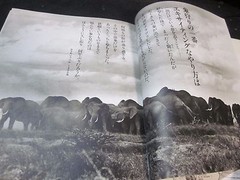 Peter Beard Photo book THE LAST WORD FROM THE PARADISE 1979 1st. edition Japan