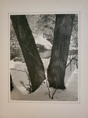 TWO TREES WINTER LG ORIGINAL SIGNED ART PHOTO B&W STETTNER VTG MATTE NJ CAMERA