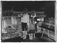 Family, Children, Glass Photo Plate, Vintage Black & White Negative 6X8 CM