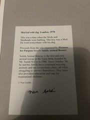 Nan Goldin -mod Kid With Dog, London ￼ – Hand signed certificate of authenticity