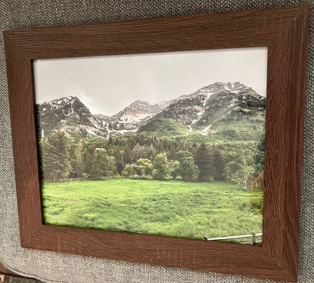New «Rocky Mountain Meadow» Print 11×14″ glossy, frame not included.