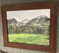 New «Rocky Mountain Meadow» Print 11×14″ glossy, frame not included.