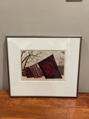 Bill Coleman Amish No. 363 Signed by artist, numbered Framed Color Photograph