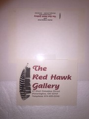 Signed Matted Glass Framed Photo Perigrine Falcon Spectacular Intense