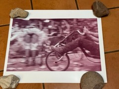 Janine Gordon Photograph 60″x24″ C-print Edition Grid Bike Kill Signed Fine Art