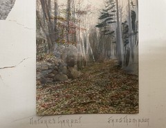 Fred Thompson Hand Colored Tinted Photograph NATURE’S CARPET Birch Trees Signed