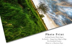 Country Photography Print – Vertical Picture of Tree Under Stormy Sky in Kansas