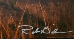 Rob Gilmore Signed Photo Print 32×24 Limited Edition 6/100 Stonecircle Studios