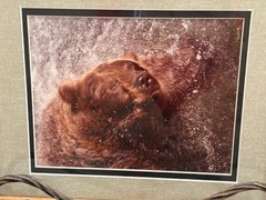 Vintage Jasper James Signed Framed Grizzly Bear Framed Nature Photography 16×13”