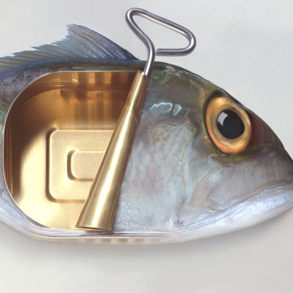 Canned FISH Fine Art Photograph Signed ORIGINAL Ltd Edition SURREALIST Print NEW