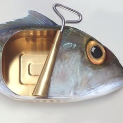 Canned FISH Fine Art Photograph Signed ORIGINAL Ltd Edition SURREALIST Print NEW