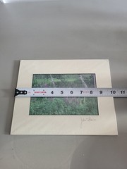 Photography Print By John T Slonina Matted 8×10 Lupine Flowers And Birch Trees