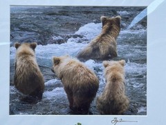 Artist Greg Arbutine 8″x10″ Photograph in 11″x14″ black mat «Alaskan Bear Cubs»