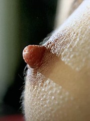 Contemporary Artistic Nude 4×6 Photograph Fine Art Color Print Female Study