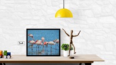 Wild Flamingoes, High Resolution Image, Many Formats, TV Art