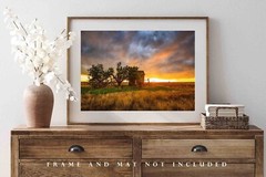 Great Plains Photography Print: Oklahoma Barn Stormy Sunset Prairie Photo