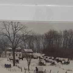 VTG Signed Number184/500 Bill Coleman Photograph AMISH No. 310 January’s Wedding