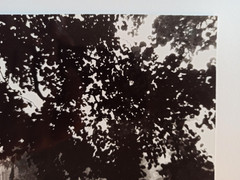 Josef Sudek (1896 – 1976) – banks of the Vltava River, Prague, 1961 – signed photo