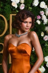 PHOTO NO 480 • ZENDAYA • GLOSSY • 20×30 CM • NEW
