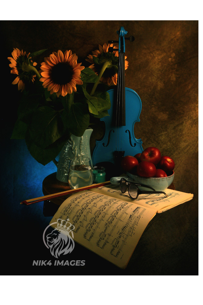 New «Blue Violin» 16″ x 20″ Framed Photo Art Living Room