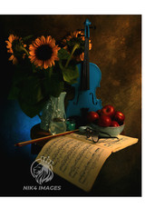 New «Blue Violin» 16″ x 20″ Framed Photo Art Living Room