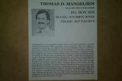 Thomas D Mangelsen set of 3 prints signed & #’d dated1981