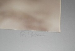 Ralph Gibson Original Signed Photograph Still Life Berries on a Branch Winter