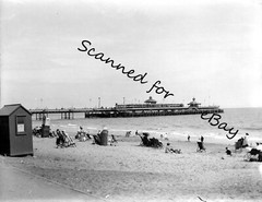 14 glass negatives 1890s / 1900s people wedding Naval Chatham Southsea Torquay